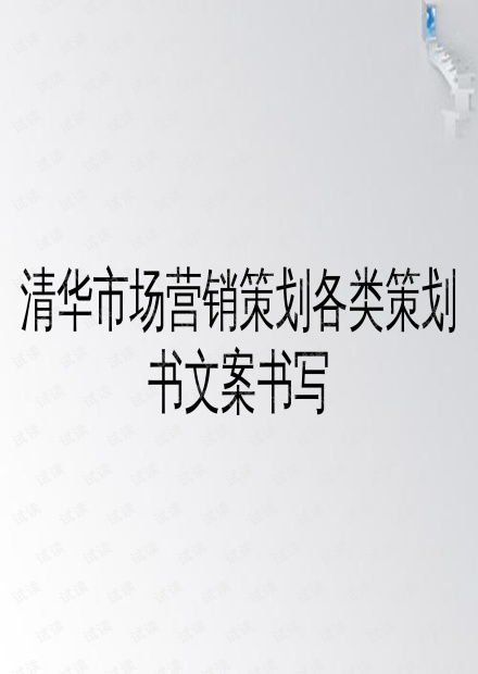 清華市場營銷策劃 從策劃書到PPT文案的實戰(zhàn)指南